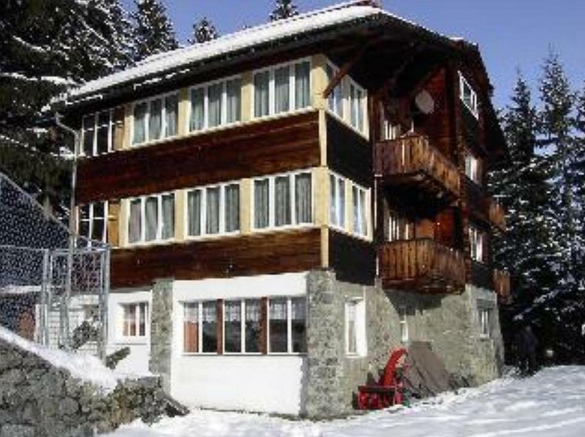 阿罗萨Chalet Suveran公寓 外观 照片